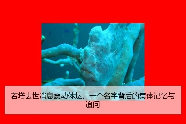 若塔去世消息震动体坛，一个名字背后的集体记忆与追问